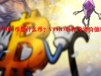 VTHO币是什么币？VTHO币有投资价值吗？