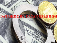 DATA币怎么样？DATA币发行总量多少？