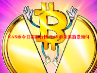 KAS币今日实时行情 KAS币未来前景如何