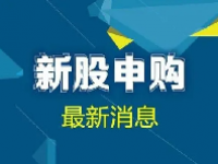 中仑新材值得申购吗？申购日期为2024年6月11日