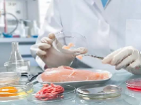 食品检测概念股龙头一览表2024