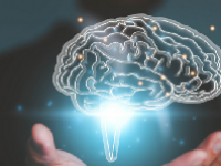 人脑工程概念股龙头一览表最新2024
