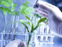 生物育种概念股龙头一览表最新2024