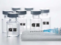 生物疫苗概念股龙头一览表2024