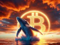 ZRX币2024能涨到多少？ZRX币升值空间大吗？