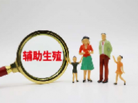 辅助生殖概念股票龙头股一览