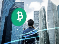 LINK币有潜力吗？LINK币怎么获得？