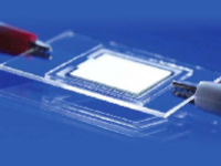 MicroLED概念龙头股一览表2024最新
