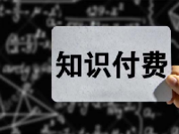 知识付费概念股龙头一览