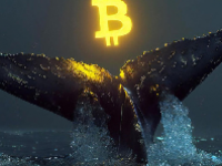 PRIME币价格行情最新 PRIME币值得投资吗