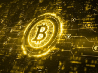 FLOW币能涨到50美金吗？FLOW币有可能成为主流币吗？
