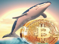 AKT币能到100u吗？AKT币值得投资吗？