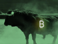 比特币交易软件有哪些平台 炒比特币的平台有哪些