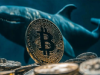 usdt交易所最新排行榜 usdt交易所排名前十名2024