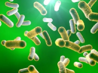 2024生物安全概念股龙头一览表