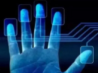 指纹识别概念股票一览表最新2024