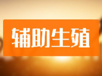 辅助生殖概念股票一览表最新2024