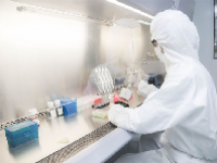 生物安全概念股龙头一览表2024最新