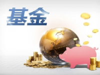 货币基金收益排名一览表2024