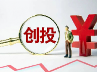 创投概念股一览表2024最新