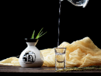 白酒概念龙头股票一览表