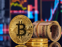 VINU币能涨到多少？VINU币有销毁机制吗？