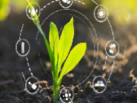 生物育种概念股龙头一览表2024
